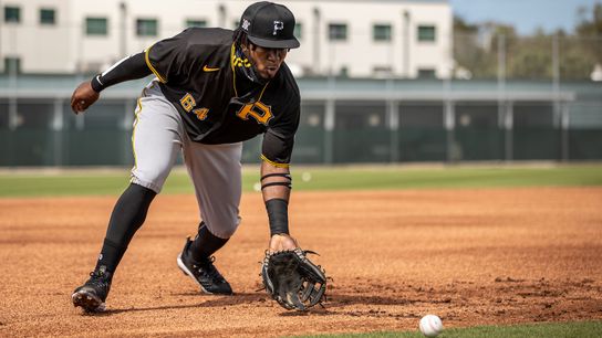 Castro clears the roof with raw power, raises his potential taken in Bradenton, Fla. (Pirates)